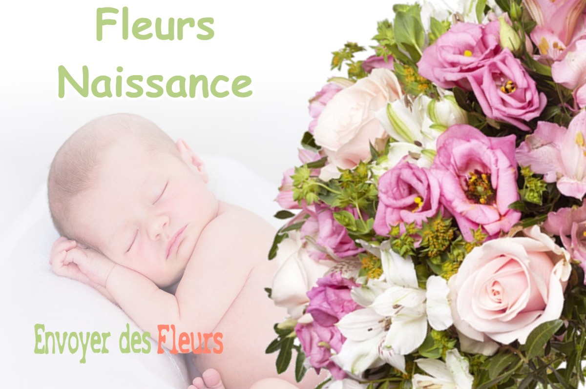 lIVRAISON FLEURS NAISSANCE à SAINT-BAUDILLE-DE-LA-TOUR